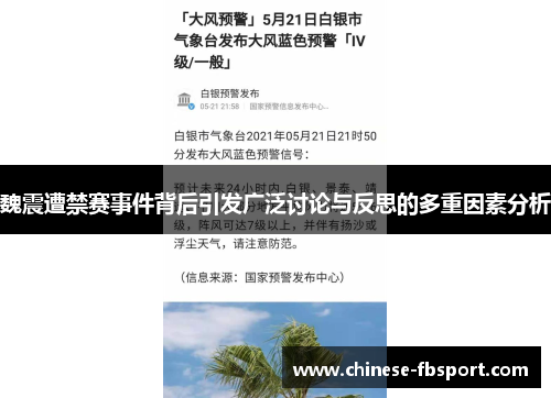 魏震遭禁赛事件背后引发广泛讨论与反思的多重因素分析