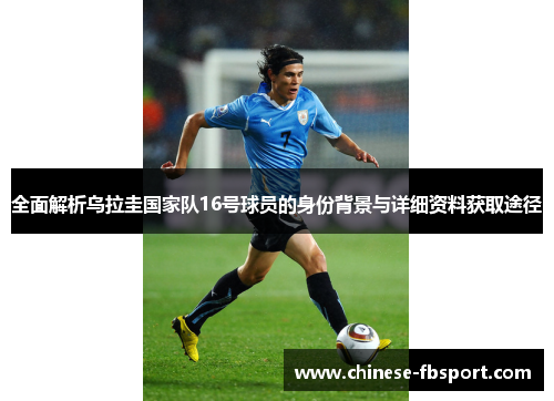 全面解析乌拉圭国家队16号球员的身份背景与详细资料获取途径