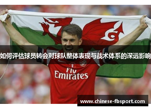 如何评估球员转会对球队整体表现与战术体系的深远影响