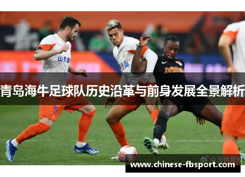 青岛海牛足球队历史沿革与前身发展全景解析 青岛海牛足球队历史沿革与前身发展全景解析