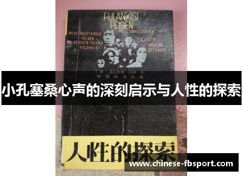 小孔塞桑心声的深刻启示与人性的探索