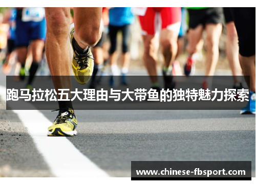 跑马拉松五大理由与大带鱼的独特魅力探索 跑马拉松五大理由与大带鱼的独特魅力探索