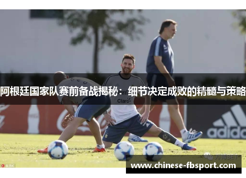 阿根廷国家队赛前备战揭秘：细节决定成败的精髓与策略